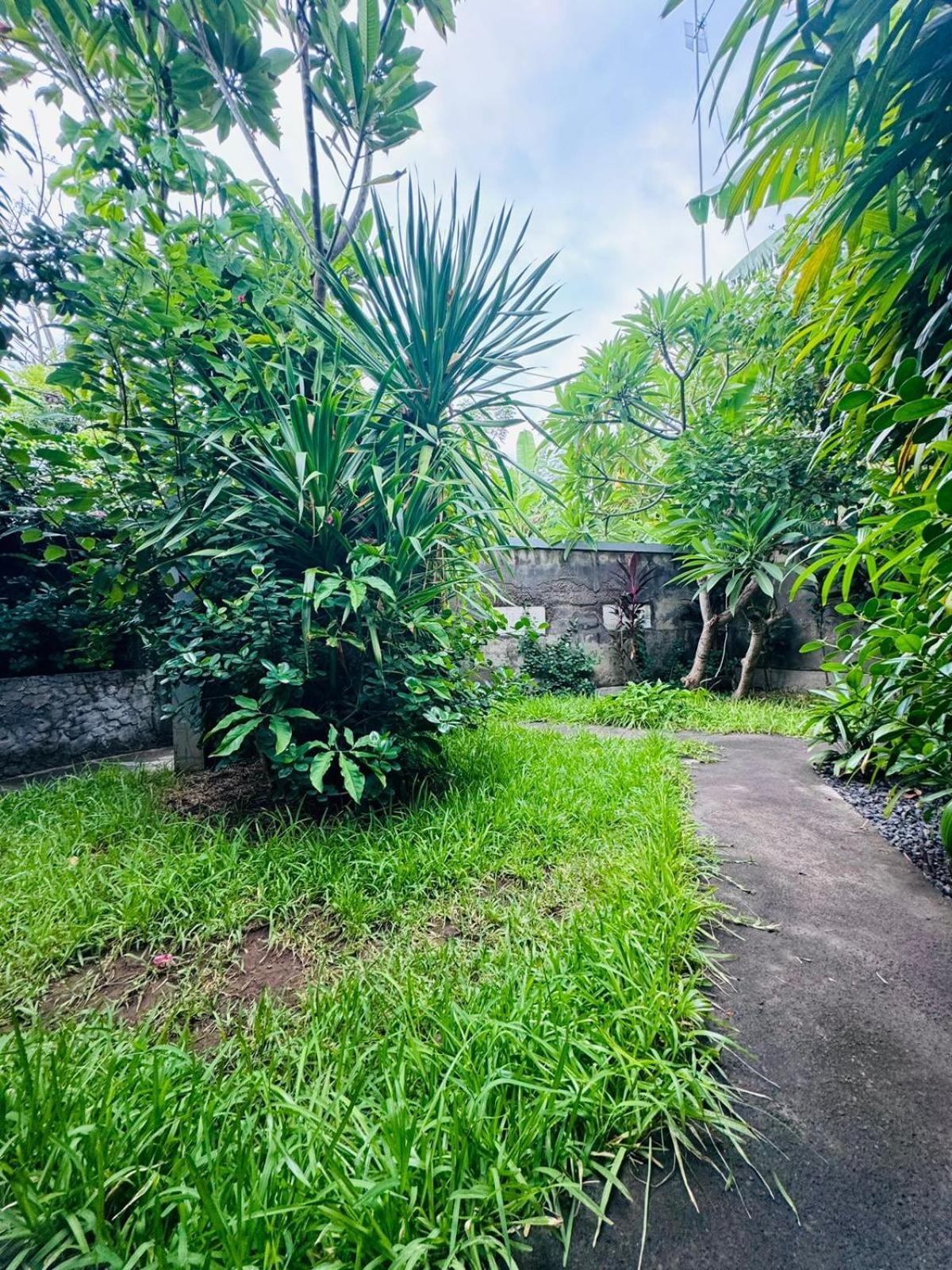 Putu Guest House Pemuteran Exteriör bild